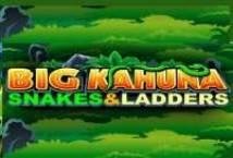 Big Kahuna Snakes and Ladders slot